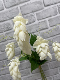 ITEM 10203 W - 25.5" FRESH TOUCH WHITE HOPS BUNDLE WITH 5 STEMS