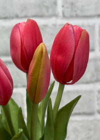 ITEM 10209 ROSE - 9.5" FRESH TOUCH MINI DYNASTY ROSE TULIP BUNDLE (3 HEADS, 2 BUDS)