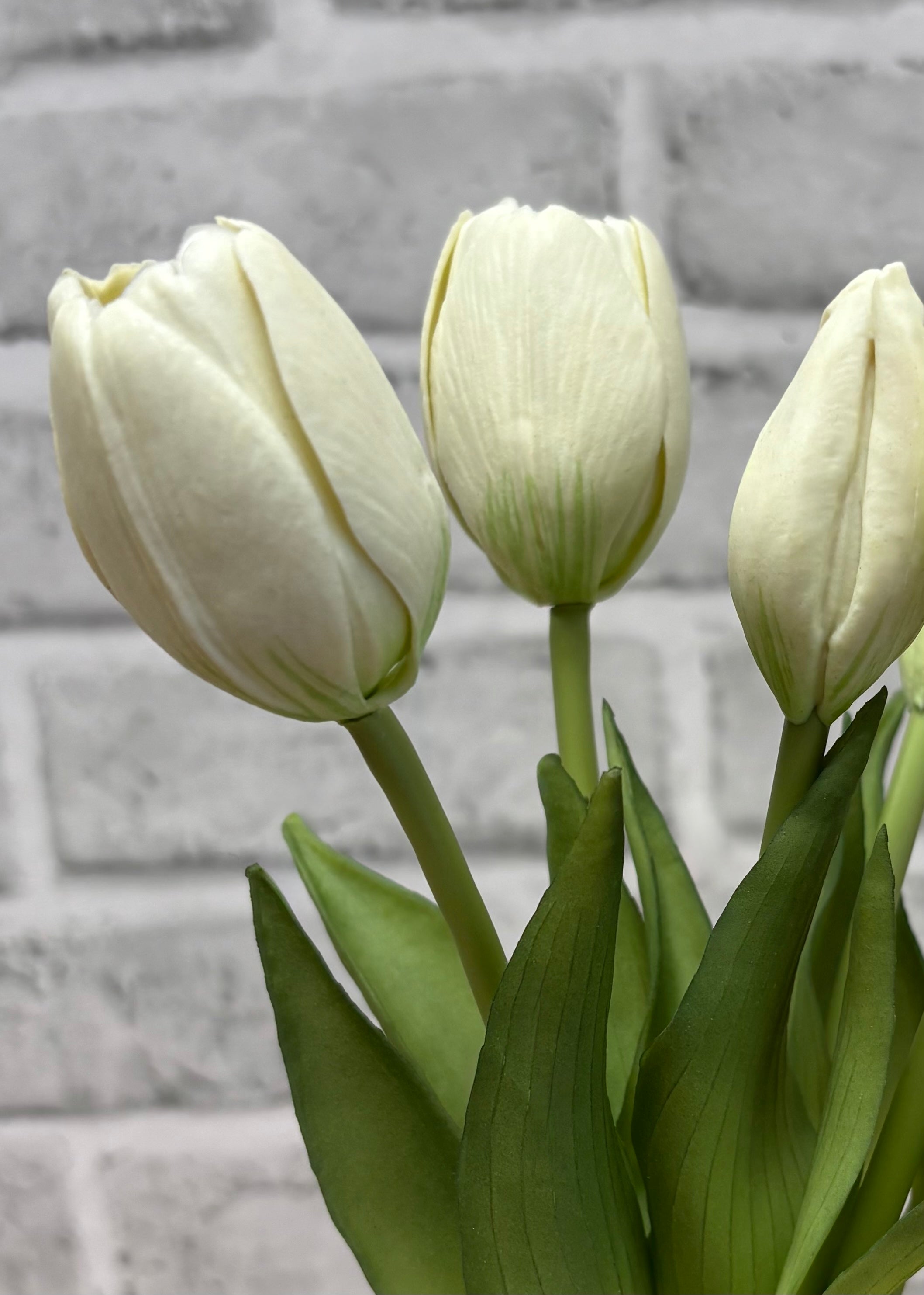 ITEM 10209 W(AVAILABLE) - 9.5" FRESH TOUCH MINI DYNASTY WHITE TULIP BUNDLE (3 HEADS, 2 BUDS)