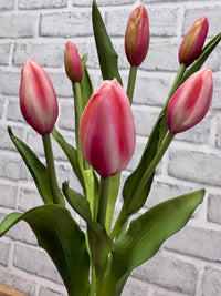 ITEM 10210 COTTON(AVAILABLE) - 18.5" FRESH TOUCH COTTON CANDY TULIP BUD BUNDLE WITH 6 BUDS