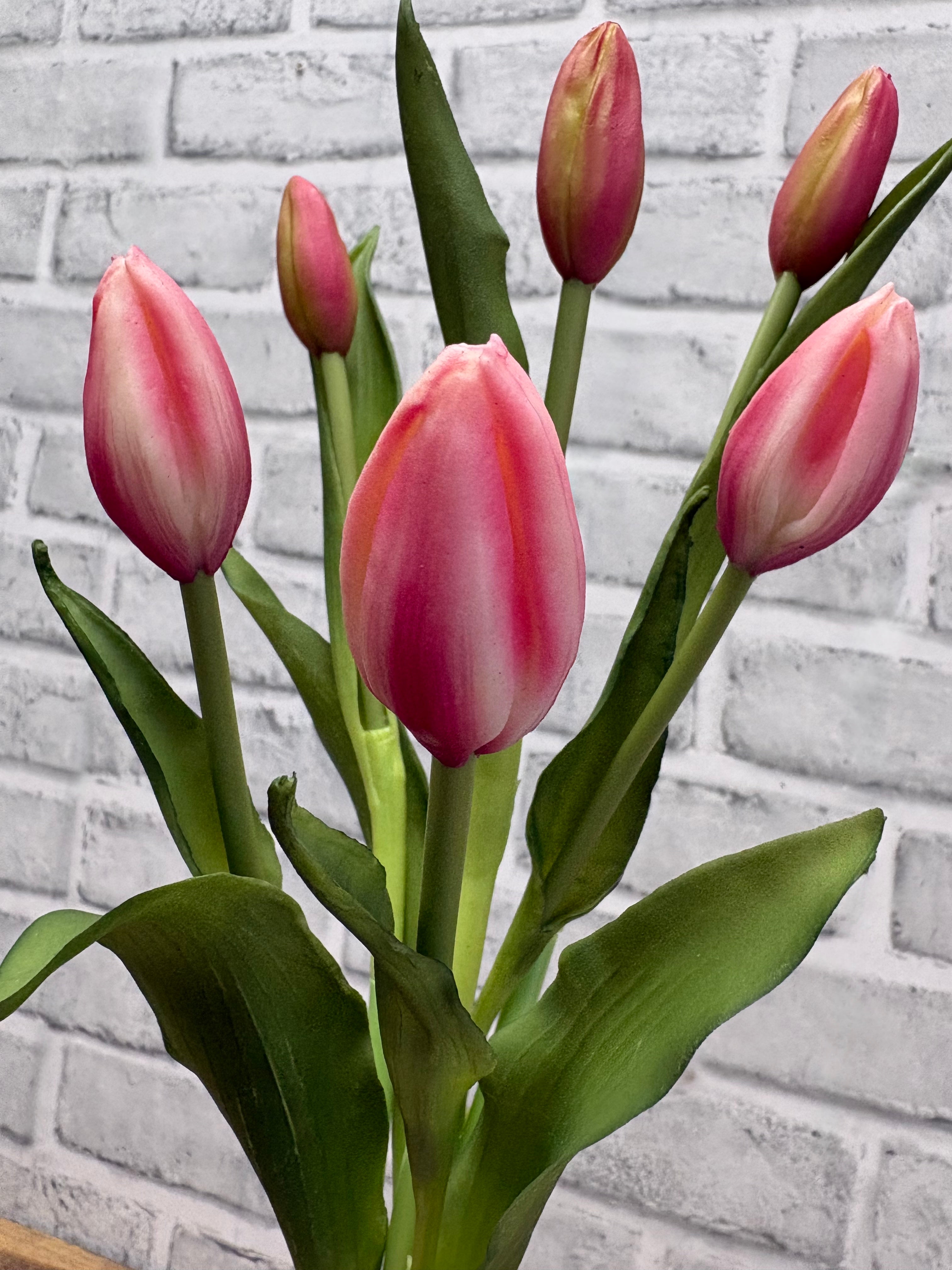 ITEM 10210 COTTON(AVAILABLE) - 18.5" FRESH TOUCH COTTON CANDY TULIP BUD BUNDLE WITH 6 BUDS