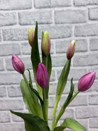 ITEM 10210 LVW(AVAILABLE) - 18.5" FRESH TOUCH LAVENDER WHITE TULIP BUD BUNDLE WITH 6 BUDS