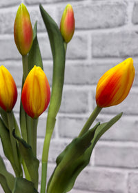 ITEM 10210 O - 18.5" FRESH TOUCH ORANGE TULIP BUD BUNDLE WITH 6 BUDS