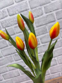 ITEM 10210 O - 18.5" FRESH TOUCH ORANGE TULIP BUD BUNDLE WITH 6 BUDS