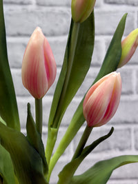 ITEM 10210 PK - 18.5" FRESH TOUCH PINK TULIP BUD BUNDLE WITH 6 BUDS