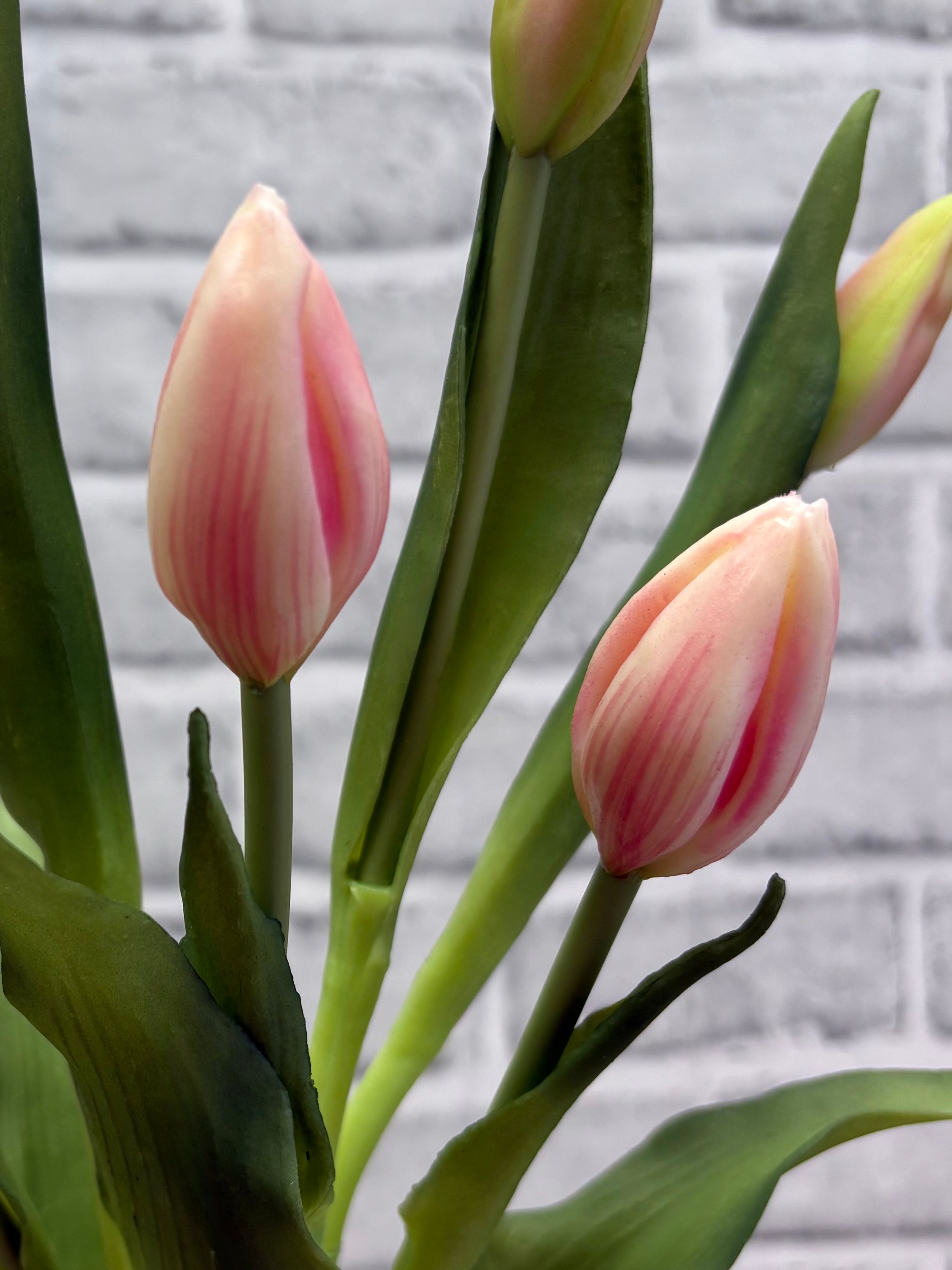 ITEM 10210 PK - 18.5" FRESH TOUCH PINK TULIP BUD BUNDLE WITH 6 BUDS