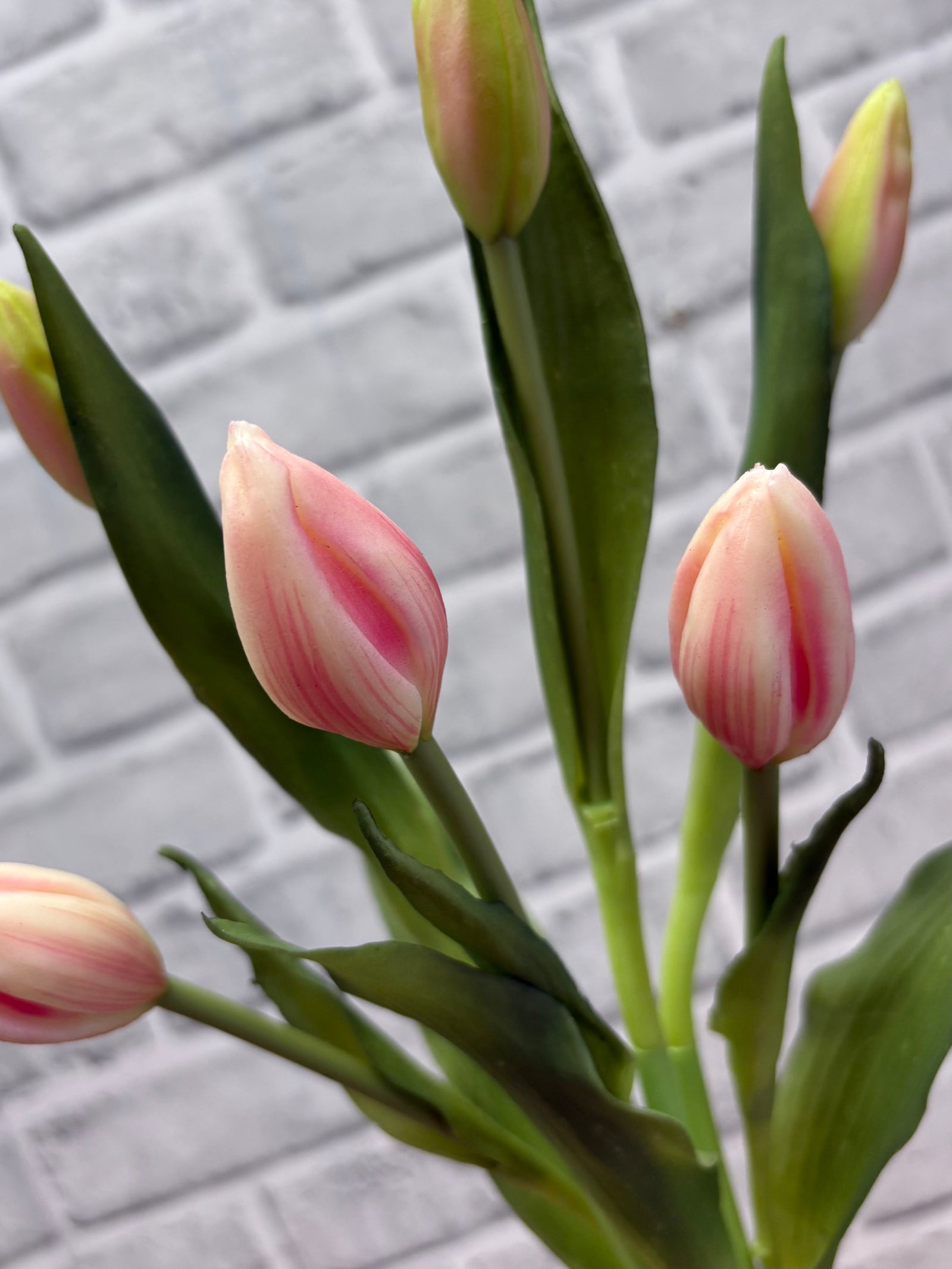 ITEM 10210 PK - 18.5" FRESH TOUCH PINK TULIP BUD BUNDLE WITH 6 BUDS