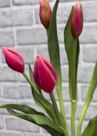 ITEM 10210 ROSE - 18.5" FRESH TOUCH ROSE TULIP BUD BUNDLE WITH 6 BUDS