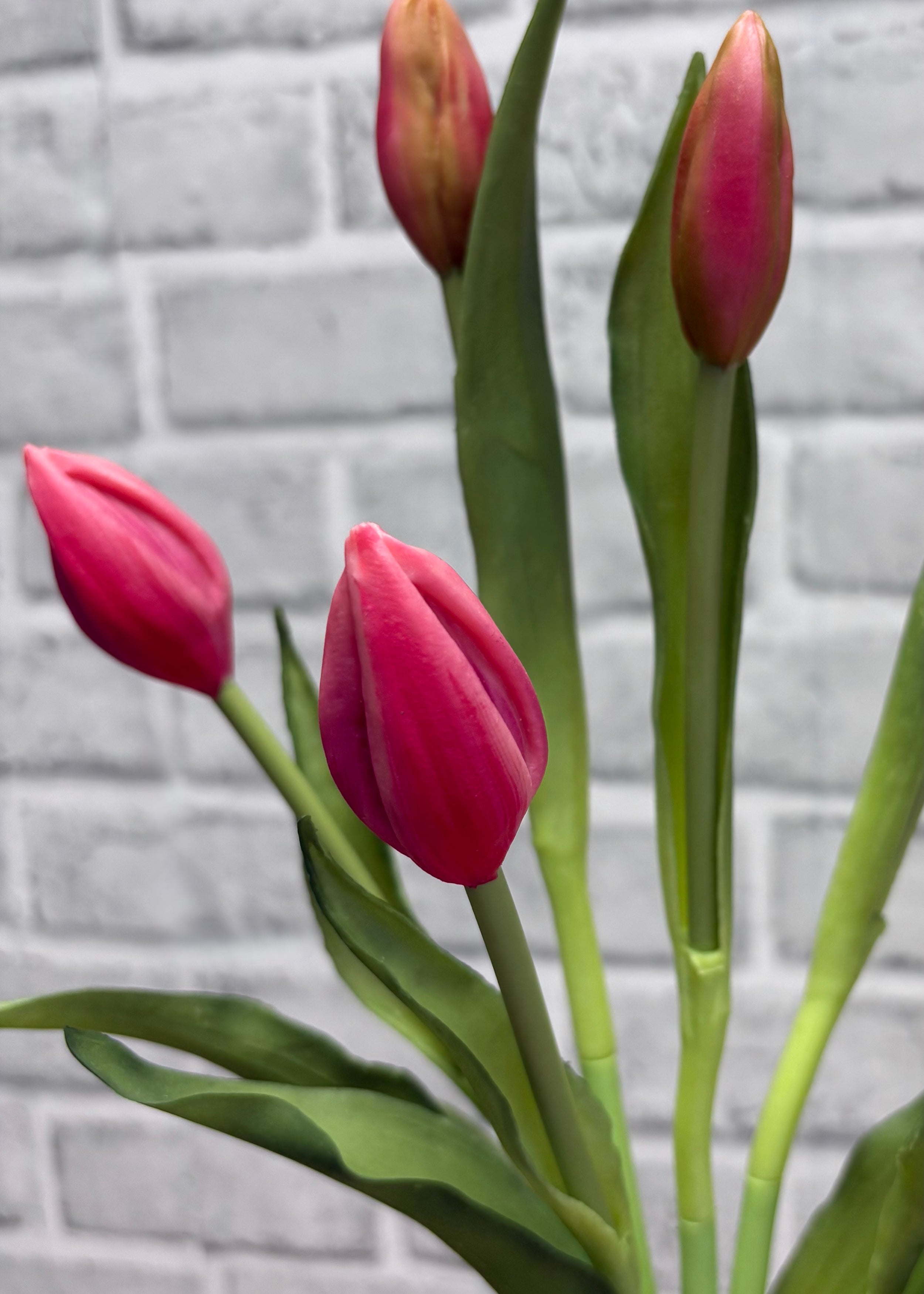 ITEM 10210 ROSE - 18.5" FRESH TOUCH ROSE TULIP BUD BUNDLE WITH 6 BUDS
