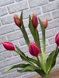 ITEM 10210 ROSE - 18.5" FRESH TOUCH ROSE TULIP BUD BUNDLE WITH 6 BUDS