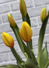 ITEM 10210 Y - 18.5" FRESH TOUCH YELLOW TULIP BUD BUNDLE WITH 6 BUDS