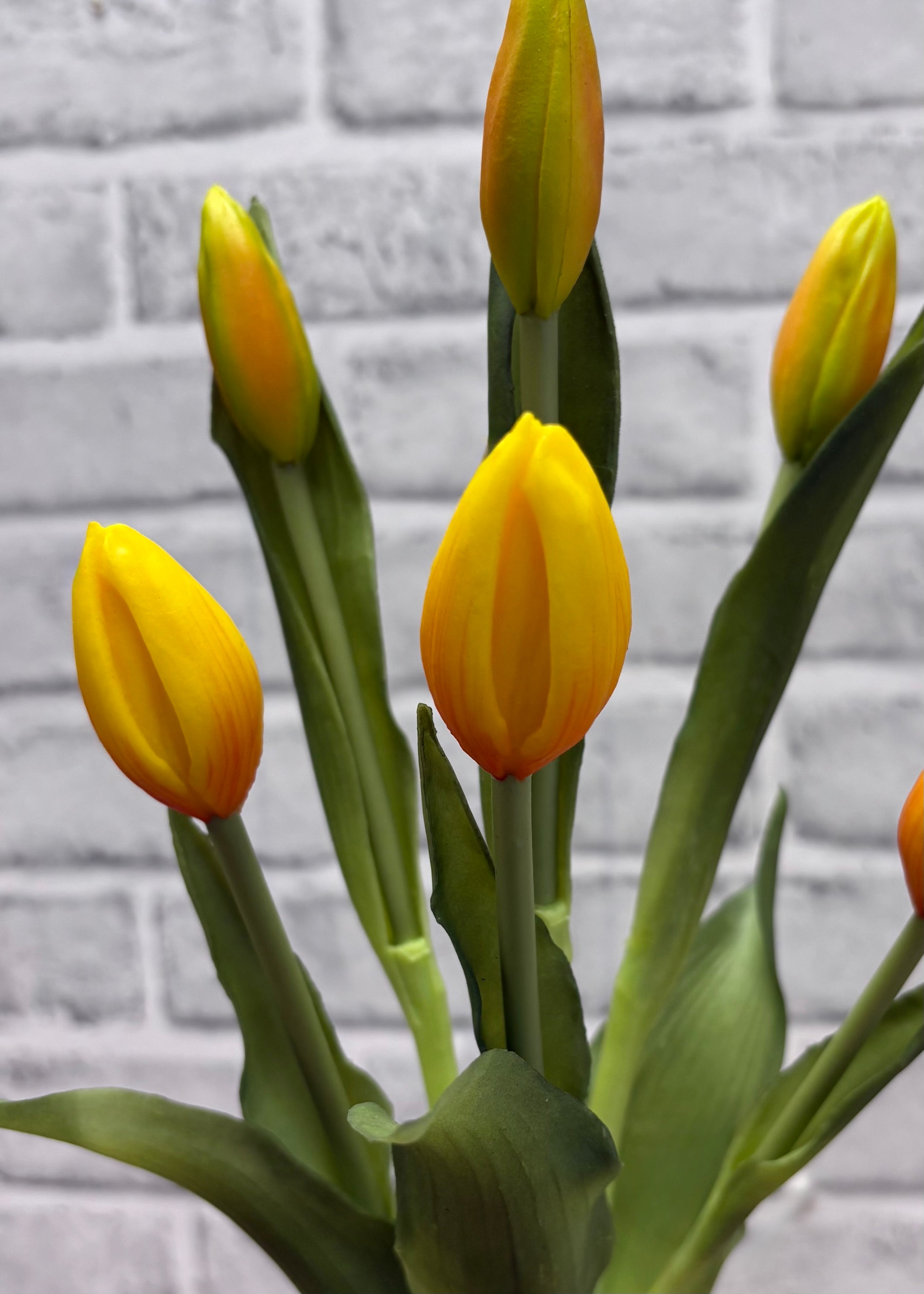 ITEM 10210 Y - 18.5" FRESH TOUCH YELLOW TULIP BUD BUNDLE WITH 6 BUDS