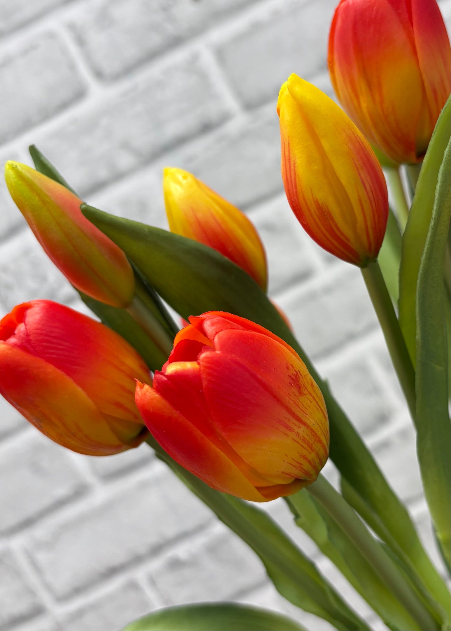 ITEM 10211 O - 18.5" FRESH TOUCH DYNASTY ORANGE TULIP BUNDLE (6 FLOWERS, 4 BUDS)