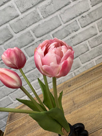 ITEM 10214 COTTON - 10" FRESH TOUCH MINI AVANT GARDE PEONY COTTON CANDY TULIP BUNDLE (3 HEADS, 2 BUDS)