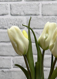 ITEM 10215 W - 16" WHITE FRESH TOUCH TRIUMPH TULIP BUNDLE WITH 3 HEADS & 2 BUDS