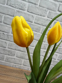 ITEM 10215 Y - 16" WHITE FRESH TOUCH TRIUMPH TULIP BUNDLE WITH 3 HEADS & 2 BUDS