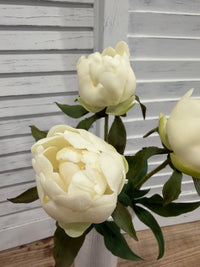 ITEM 10220 W - 19" WHITE FRESH TOUCH MEDIUM PEONY BUNDLE X 3