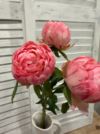 ITEM 10221 PK - 24.75" PINK FRESH TOUCH LARGE PEONY BUNDLE X 3