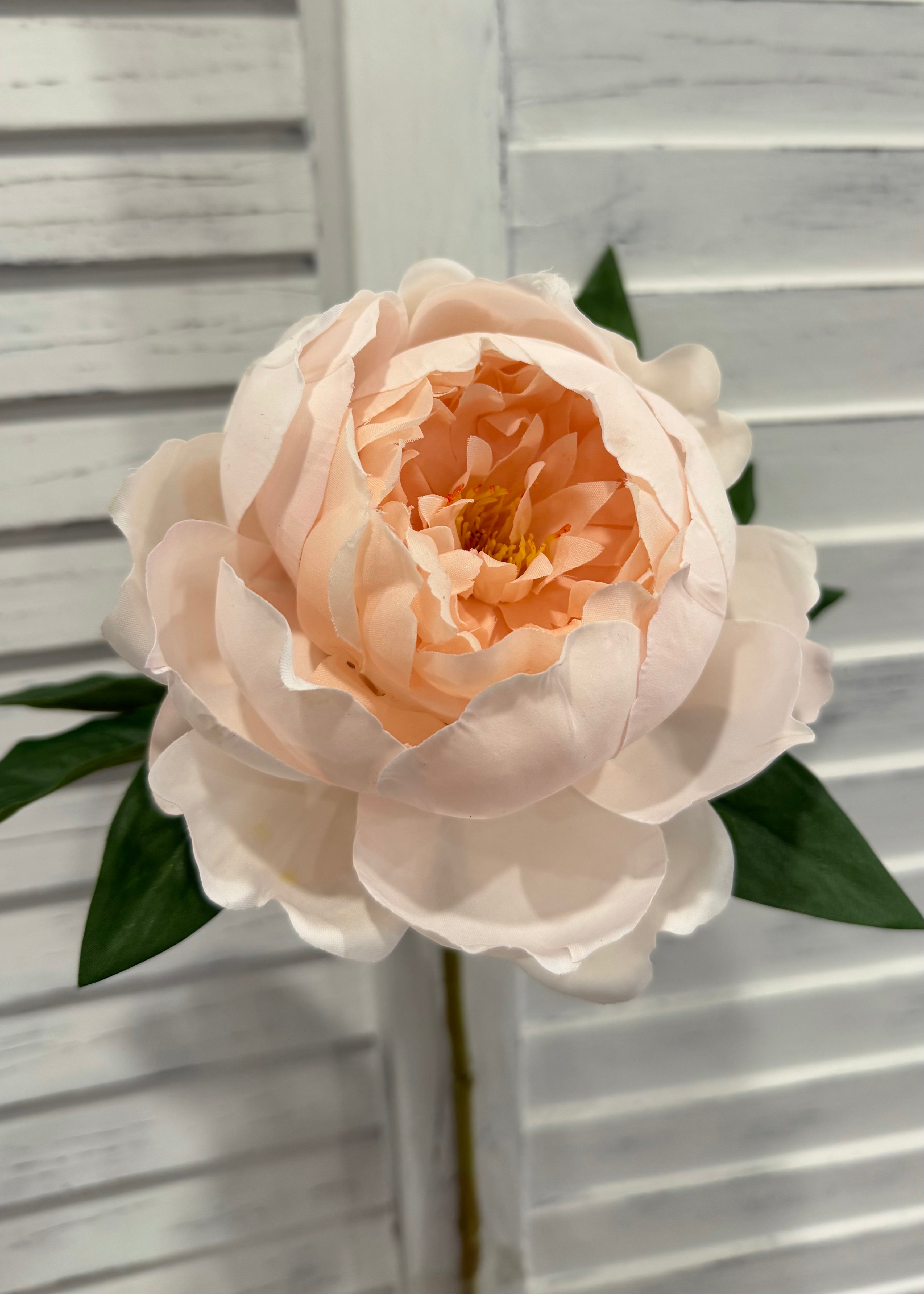 ITEM 10222 BLUSH - 22.5" BLUSH FRESH TOUCH PEONY SPRAY