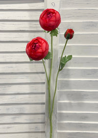 ITEM 10223 ROSE - 25" ROSE FRESH TOUCH RANUNCULUS