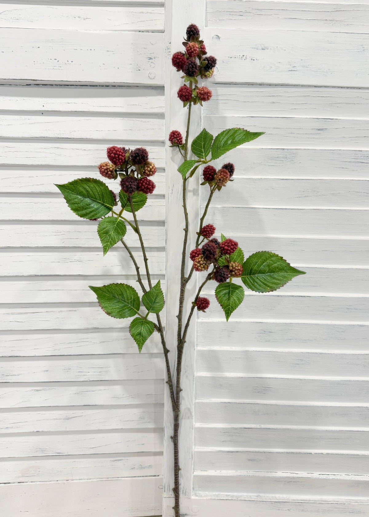 ITEM 10226 - 28.5" RASPBERRY STEM