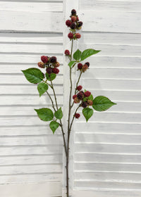 ITEM 10226 - 28.5" RASPBERRY STEM