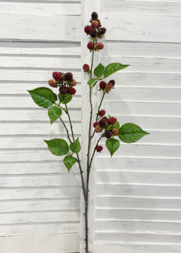 ITEM 10226 - 28.5" RASPBERRY STEM