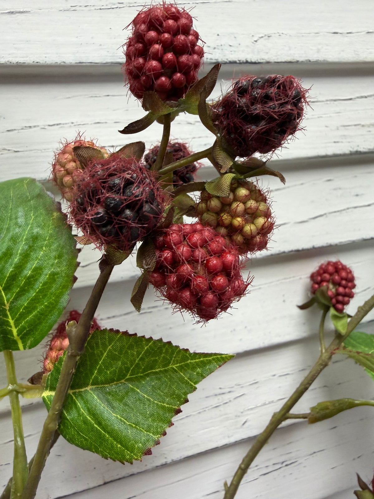 ITEM 10226 - 28.5" RASPBERRY STEM