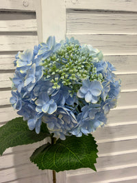 ITEM 10230 BL - 24.75" BLUE FRESH TOUCH UV SEEDED HYDRANGEA SPRAY