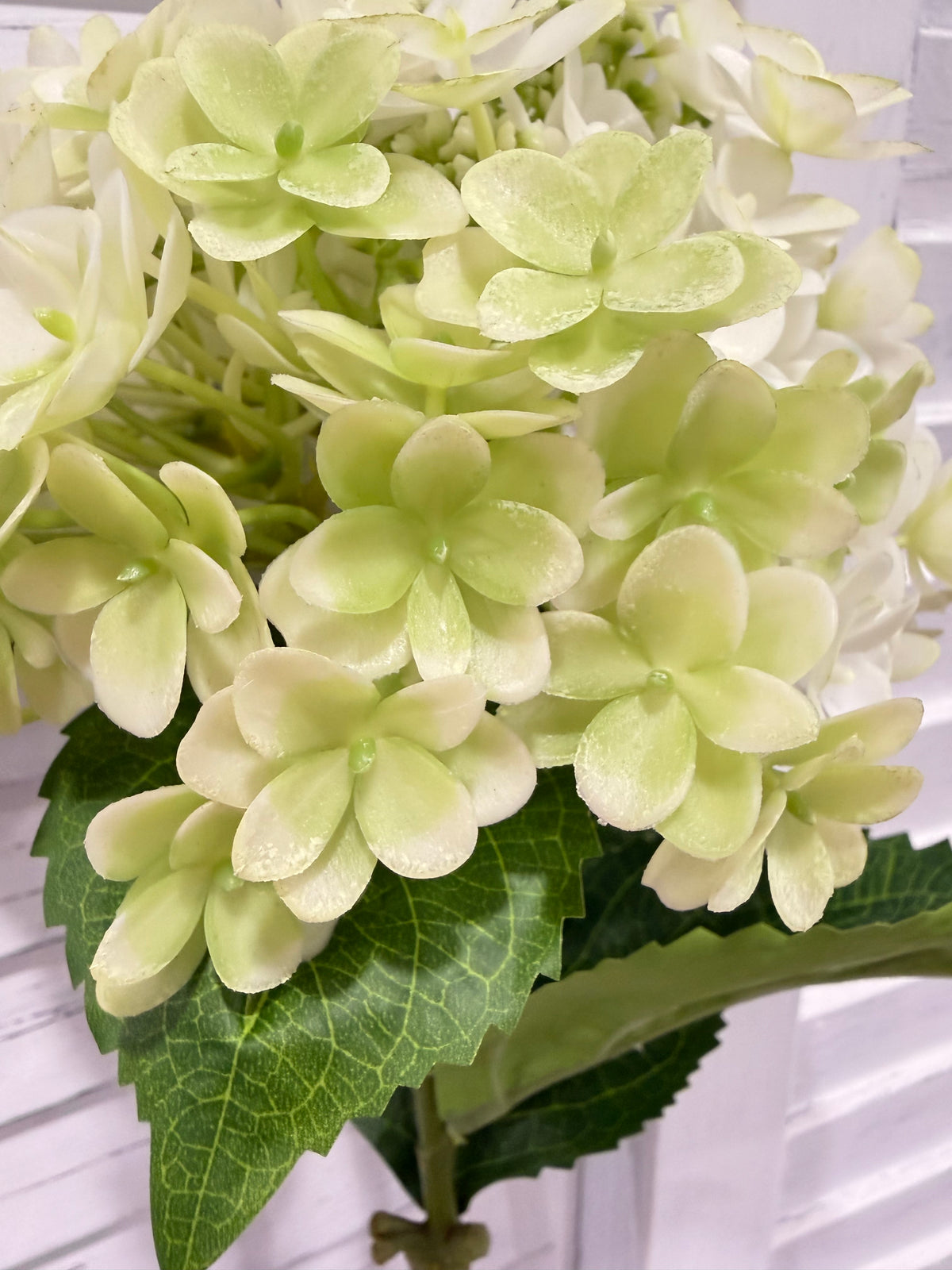 ITEM 10230 GR - 24.75" GREEN FRESH TOUCH UV SEEDED HYDRANGEA SPRAY