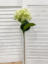 ITEM 10230 GR - 24.75" GREEN FRESH TOUCH UV SEEDED HYDRANGEA SPRAY
