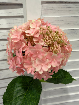 ITEM 10230 PK - 24.75" PINK FRESH TOUCH UV SEEDED HYDRANGEA SPRAY