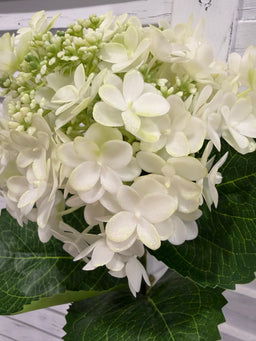 ITEM 10230 W - 24.75" WHITE FRESH TOUCH UV SEEDED HYDRANGEA SPRAY