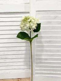 ITEM 10230 W - 24.75" WHITE FRESH TOUCH UV SEEDED HYDRANGEA SPRAY