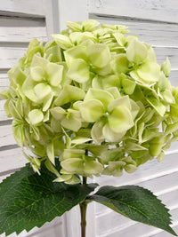 ITEM 10231 GR - 25" GREEN FRESH TOUCH UV HYDRANGEA SPRAY
