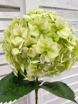 ITEM 10231 GR - 25" GREEN FRESH TOUCH UV HYDRANGEA SPRAY