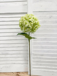 ITEM 10231 GR - 25" GREEN FRESH TOUCH UV HYDRANGEA SPRAY