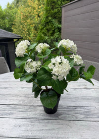 ITEM 10236 W - 19" UV WHITE FRESH TOUCH ANNABELLE HYDRANGEA BUSH IN A  BLACK PLASTIC POT - 6 HEADS