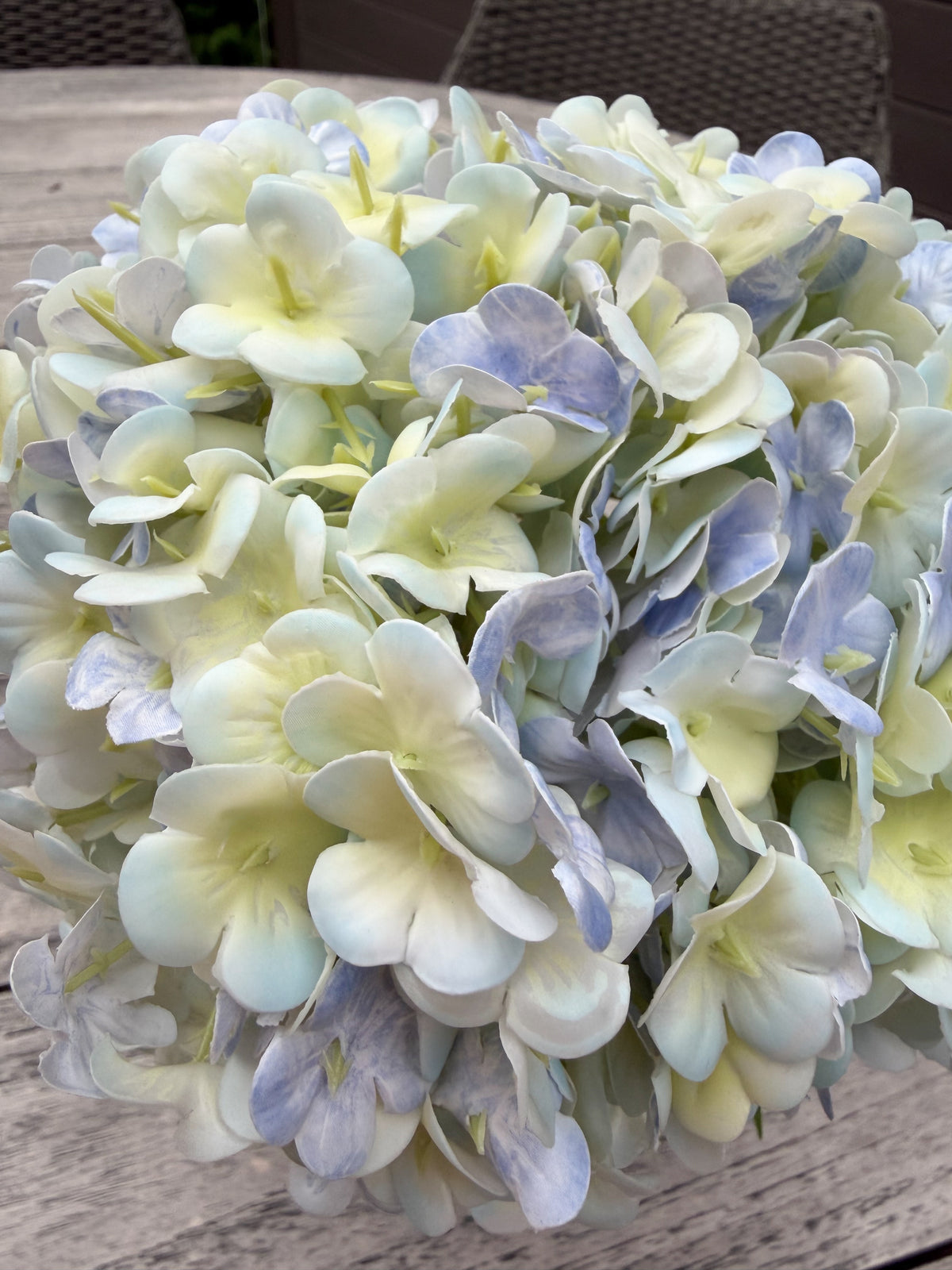 ITEM 10246 BL - 11" BLUE GREEN FRESH TOUCH  SNOWBALL BOUQUET WITH 5 STEMS