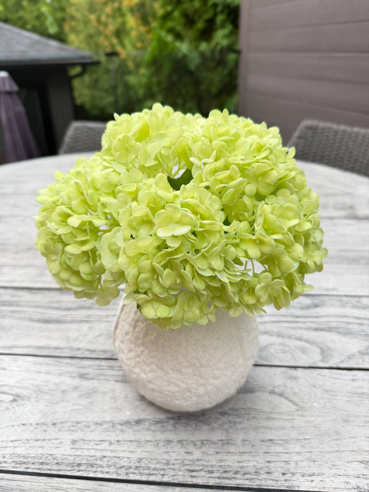 ITEM 10246 GR - 11" GREEN FRESH TOUCH  SNOWBALL BOUQUET WITH 5 STEMS