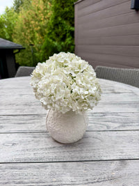 ITEM 10246 W - 11" WHITE FRESH TOUCH  SANOWBALL BOUQUET WITH 5 STEMS