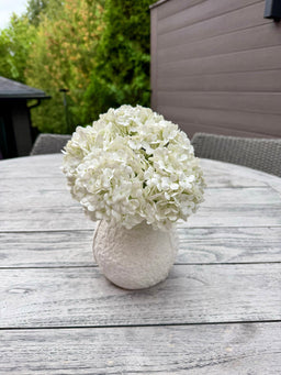 ITEM 10246 W - 11" WHITE FRESH TOUCH  SANOWBALL BOUQUET WITH 5 STEMS