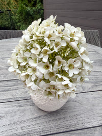 ITEM 10247 W - 13" WHITE FRESH TOUCH APPLE BLOSSOM BUNDLE WITH 4 STEMS