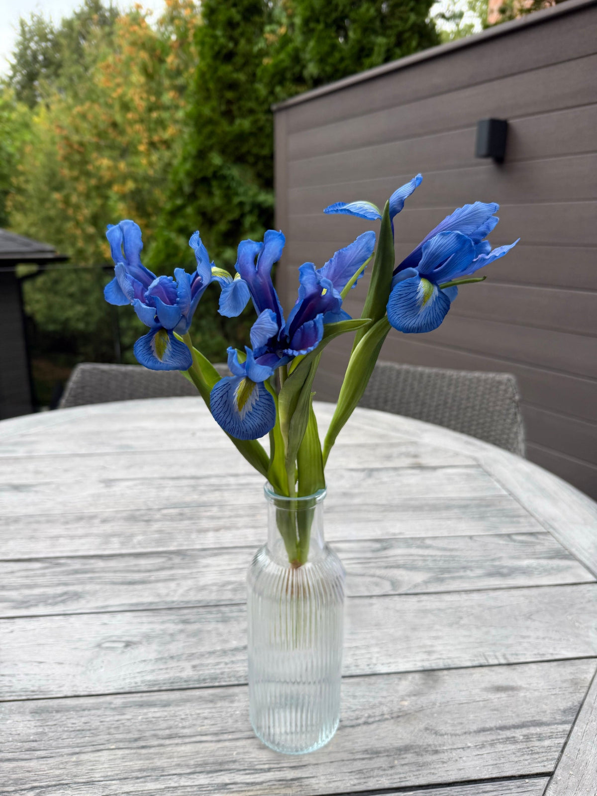 ITEM 10254 BL - 17.5" BLUE FRESH TOUCH IRIS BUNDLE WITH 3 STEMS