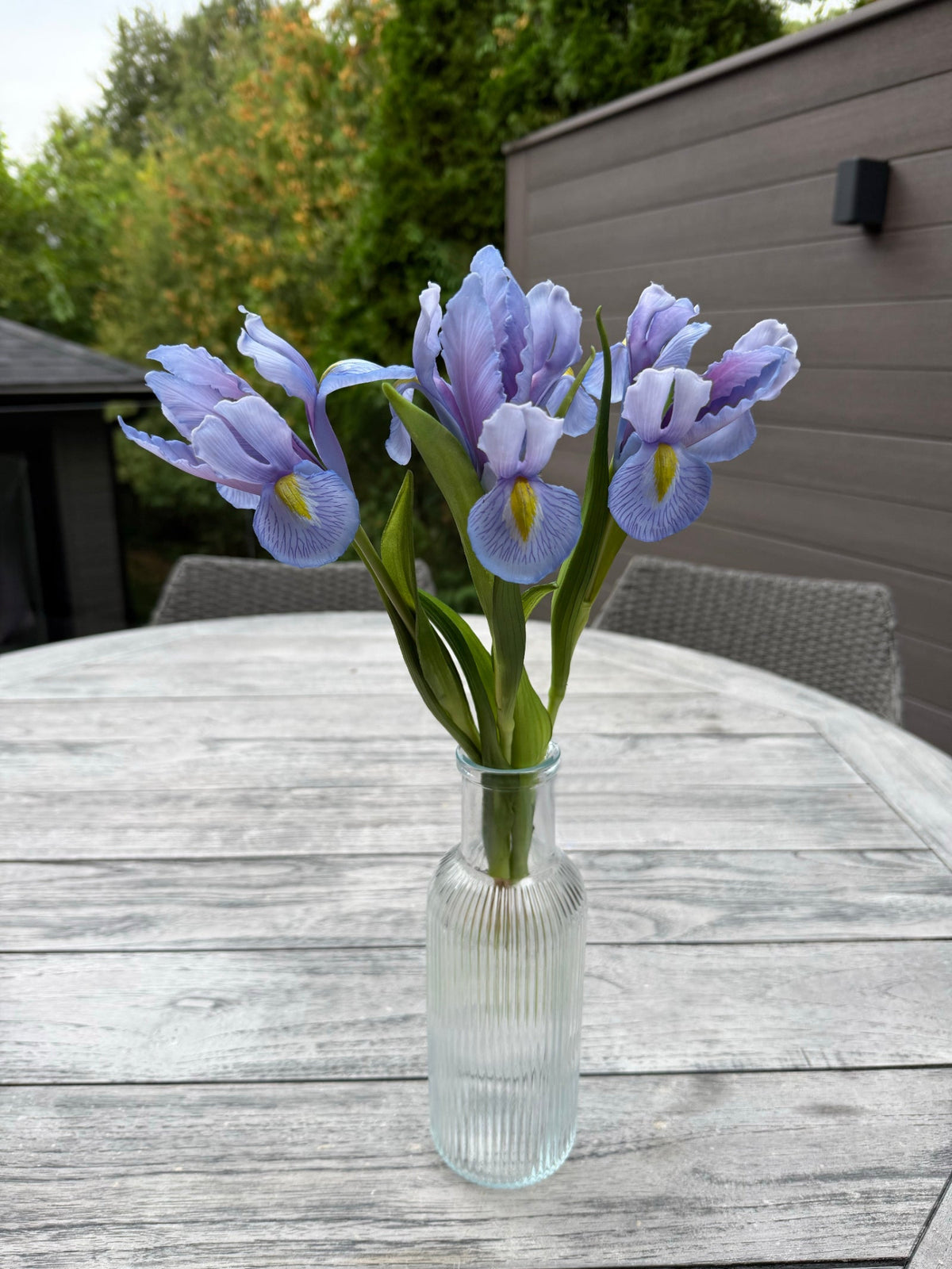 ITEM 10254 LV - 17.5" LAVENDER FRESH TOUCH IRIS BUNDLE WITH 3 STEMS