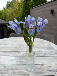 ITEM 10254 LV - 17.5" LAVENDER FRESH TOUCH IRIS BUNDLE WITH 3 STEMS