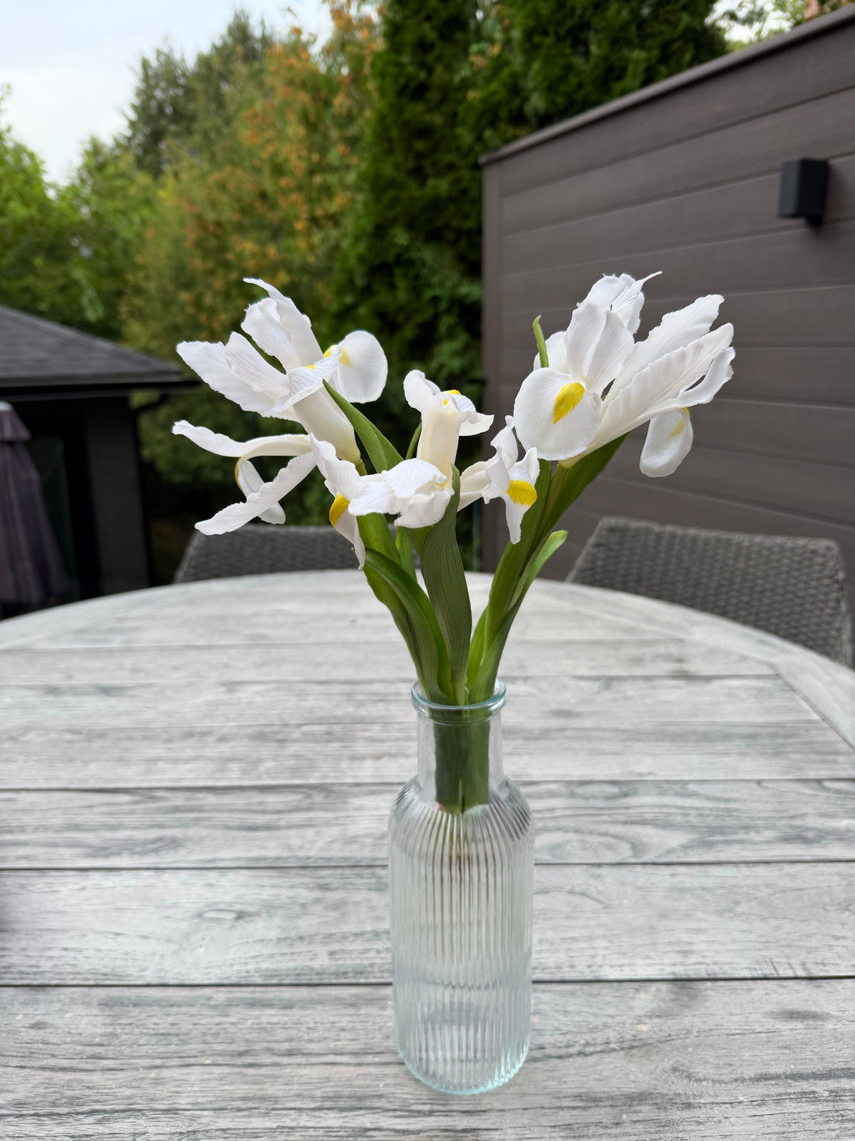 ITEM 10254 W - 17.5" WHITE FRESH TOUCH IRIS BUNDLE WITH 3 STEMS