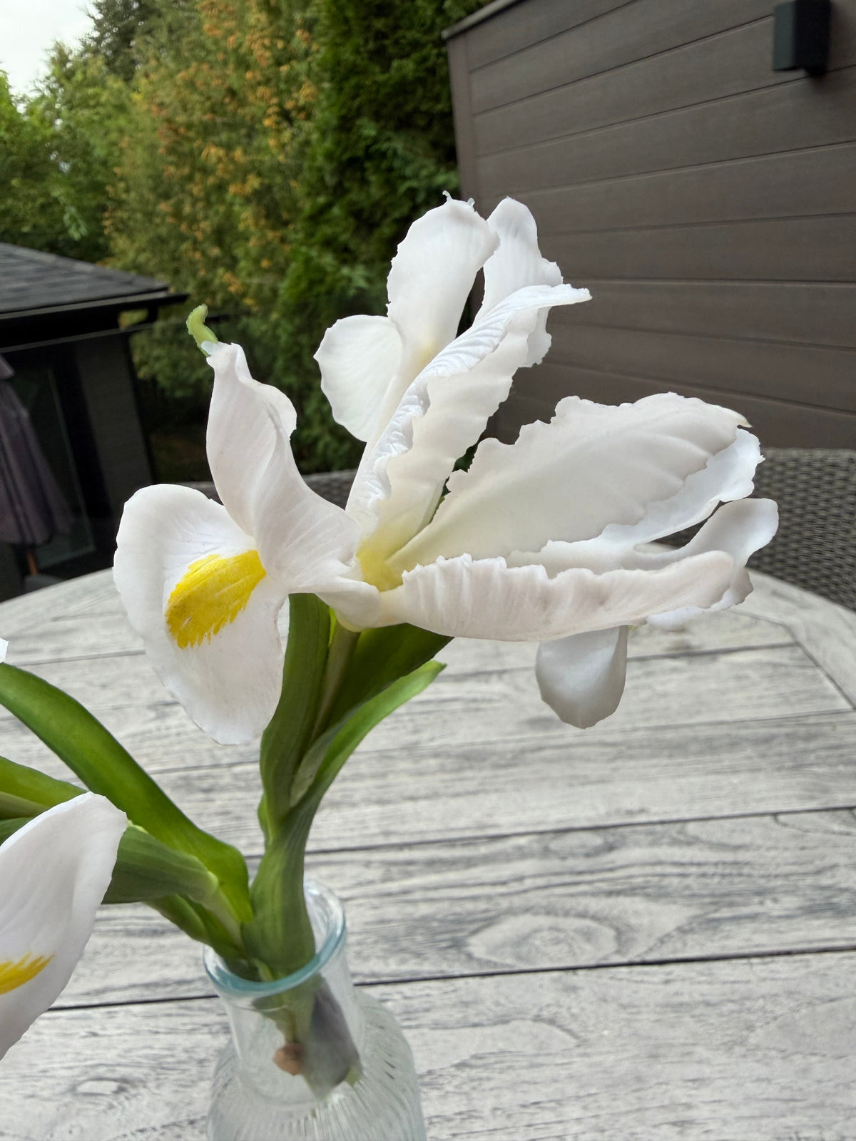 ITEM 10254 W - 17.5" WHITE FRESH TOUCH IRIS BUNDLE WITH 3 STEMS