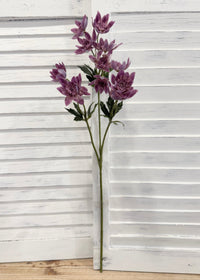 ITEM 10256 PUR - 25" PURPLE FRESH TOUCH ANEMONE SPRAY