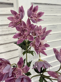 ITEM 10256 PUR - 25" PURPLE FRESH TOUCH ANEMONE SPRAY